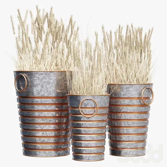 3DSKYFREE – FREE 3DS MAX MODELS