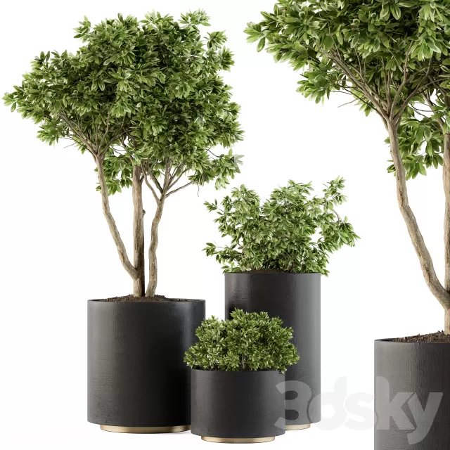 3D MODELS FREE DOWNLOAD 