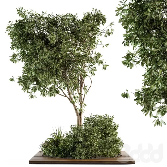 3D MODELS FREE DOWNLOAD 