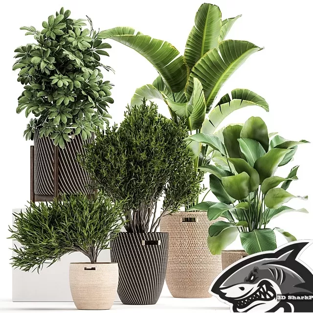 3DSKYFREE – FREE 3DS MAX MODELS