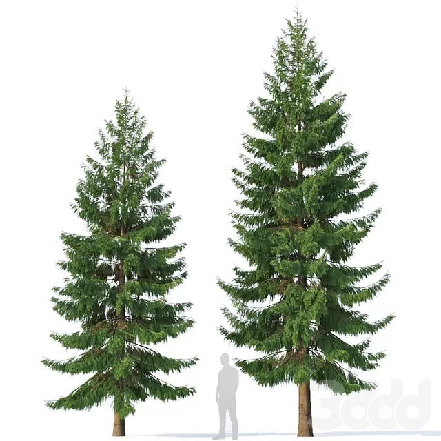 PLANTS – TREE – 3D MODELS – FREE DOWNLOAD – 17244
