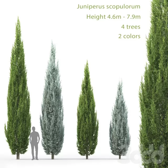 3D MODELS FREE DOWNLOAD 