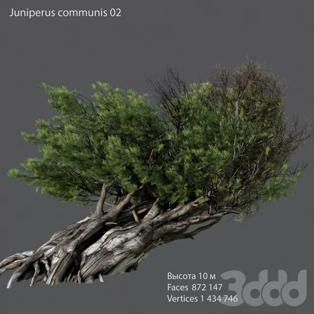 3D MODELS FREE DOWNLOAD 
