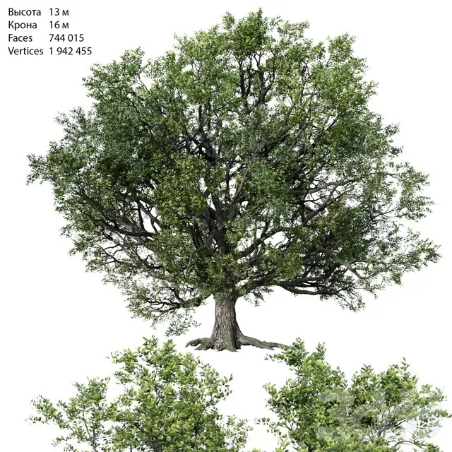 PLANTS – TREE – 3D MODELS – FREE DOWNLOAD – 17255