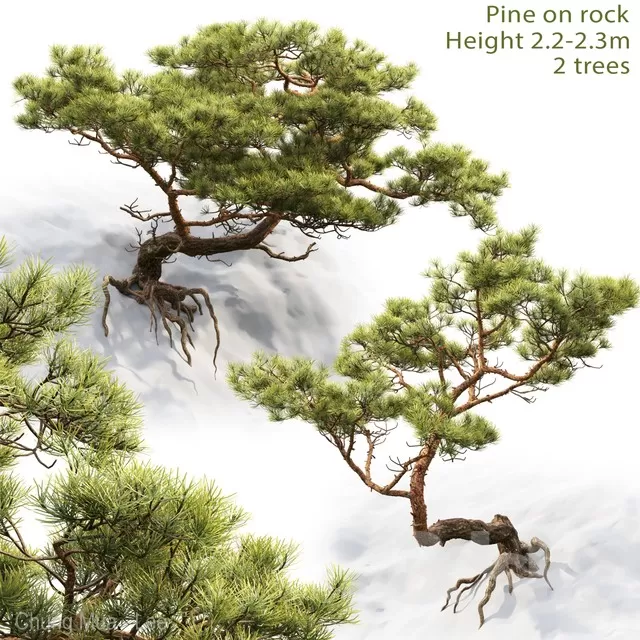 PLANTS – TREE – 3D MODELS – FREE DOWNLOAD – 17330