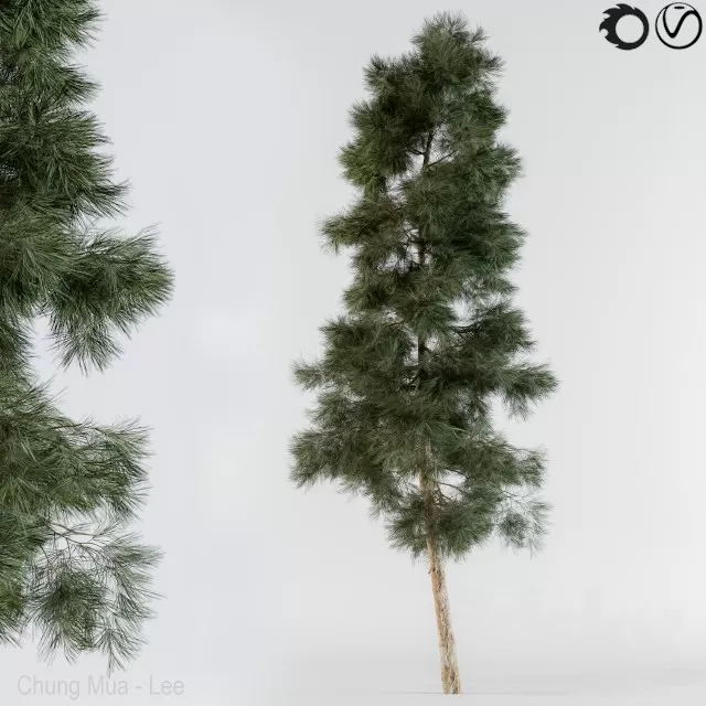 3D MODELS FREE DOWNLOAD 