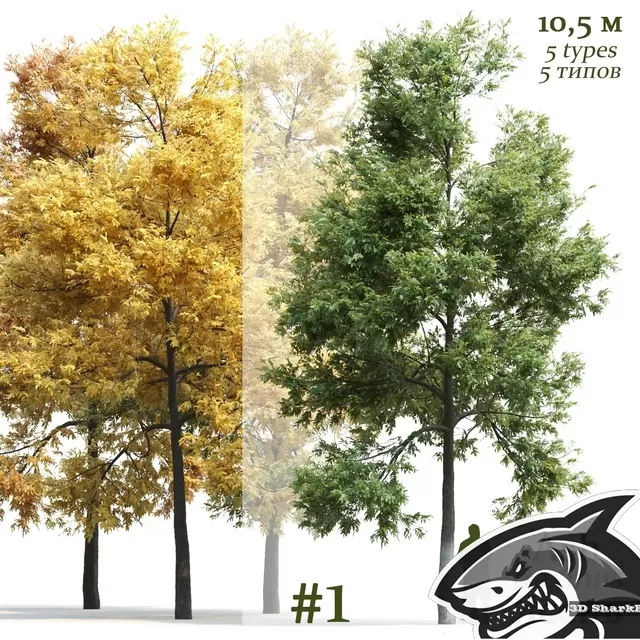 3DSKYFREE – FREE 3DS MAX MODELS