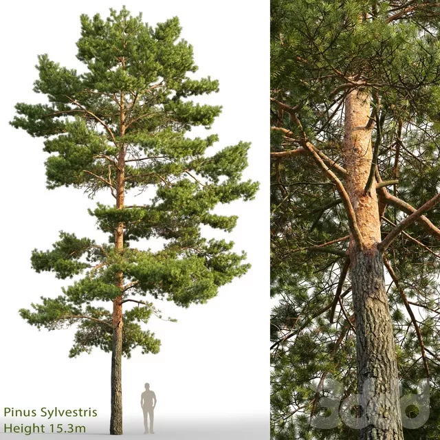 3DSKYFREE – FREE 3DS MAX MODELS