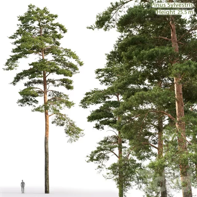 3DSKYFREE – FREE 3DS MAX MODELS