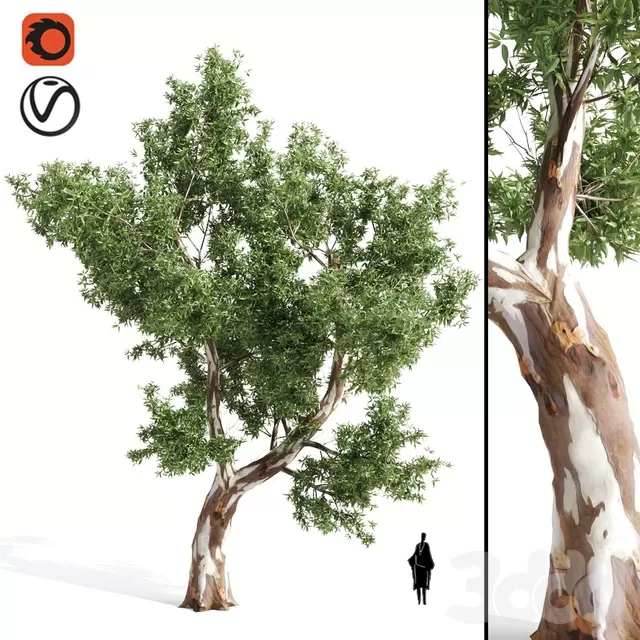 3D MODELS FREE DOWNLOAD 