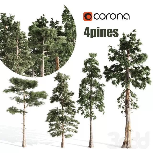 PLANTS – TREE – 3D MODELS – FREE DOWNLOAD – 17397