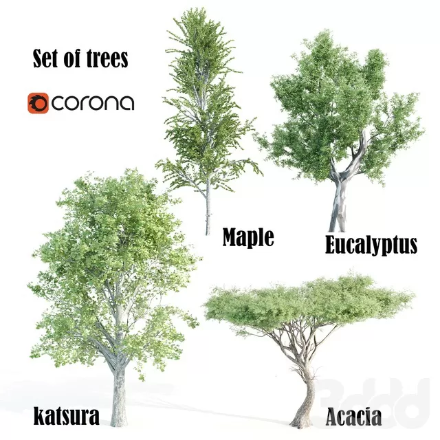 3D MODELS FREE DOWNLOAD 