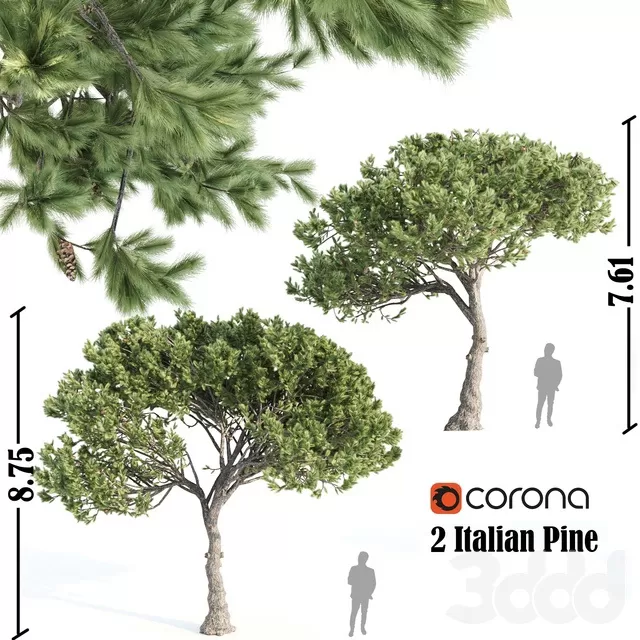 3D MODELS FREE DOWNLOAD 