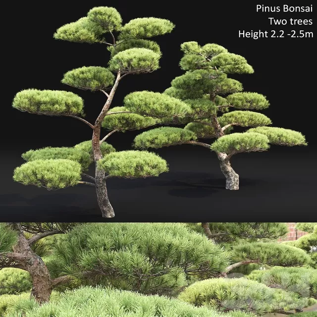 3D MODELS FREE DOWNLOAD 