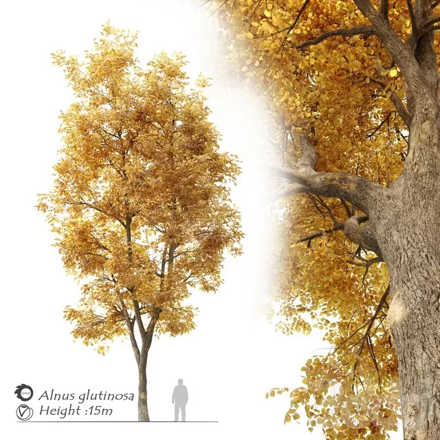 PLANTS – TREE – 3D MODELS – FREE DOWNLOAD – 17425