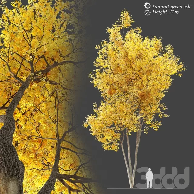 3DSKYFREE – FREE 3DS MAX MODELS