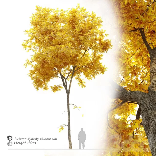 PLANTS – TREE – 3D MODELS – FREE DOWNLOAD – 17429