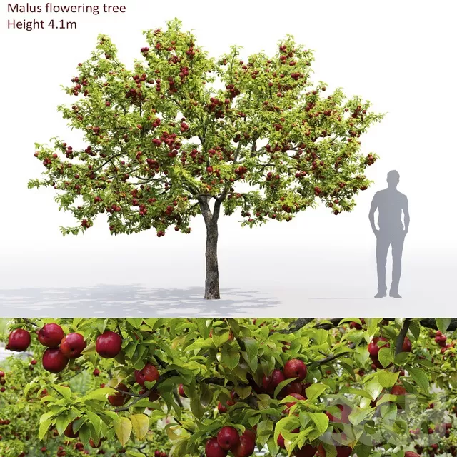 3DSKYFREE – FREE 3DS MAX MODELS