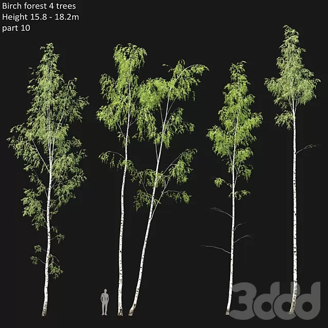 PLANTS – TREE – 3D MODELS – FREE DOWNLOAD – 17443