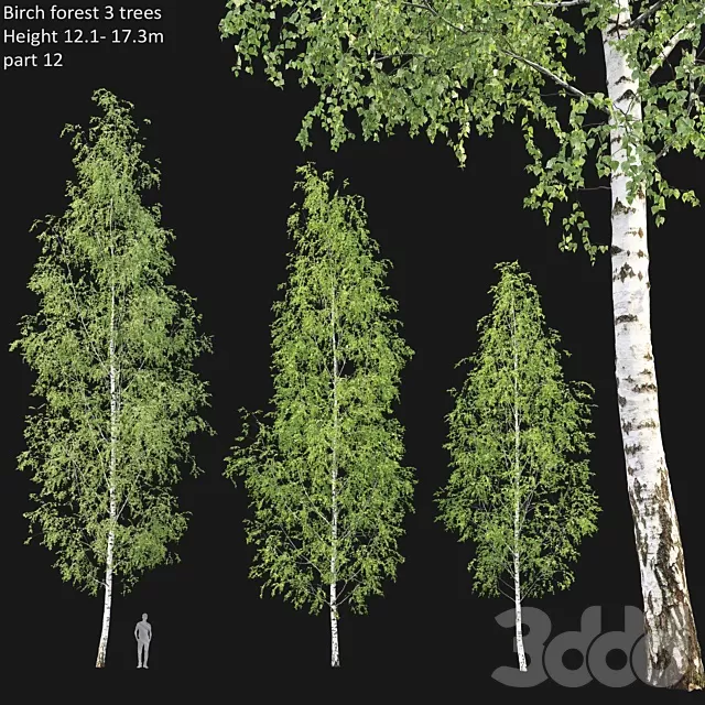 3DSKYFREE – FREE 3DS MAX MODELS