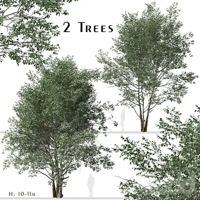3D MODELS FREE DOWNLOAD 