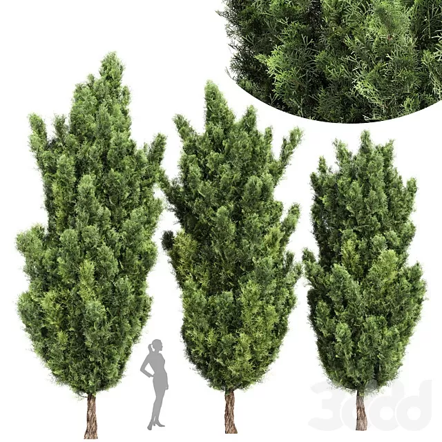 3D MODELS FREE DOWNLOAD 