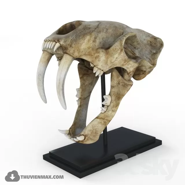 3DSKYFREE – FREE 3DS MAX MODELS