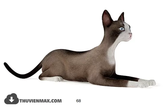 3DSKYFREE – FREE 3DS MAX MODELS