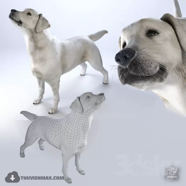 3DSKYFREE – FREE 3DS MAX MODELS