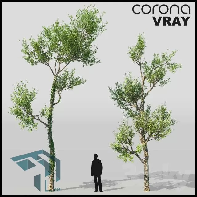 3DSKYFREE – FREE 3DS MAX MODELS