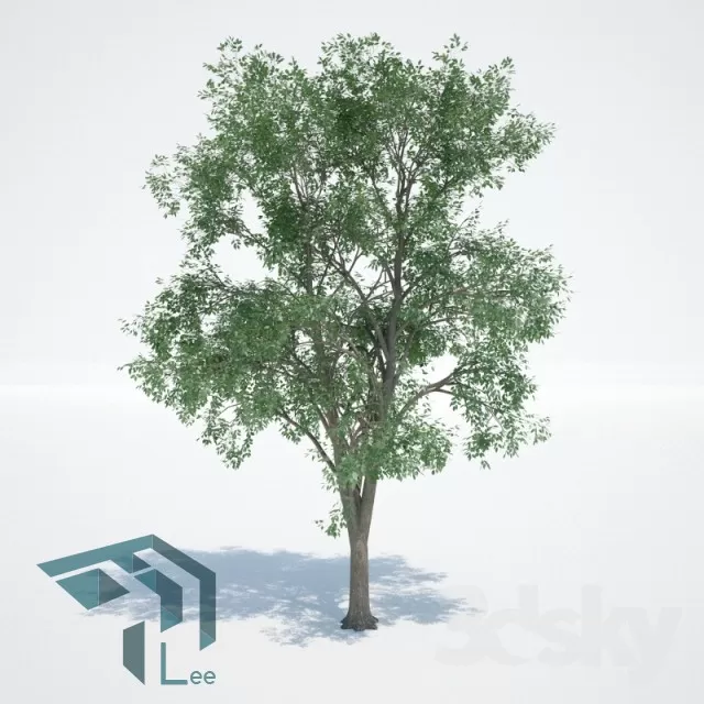 3D MODELS FREE DOWNLOAD 