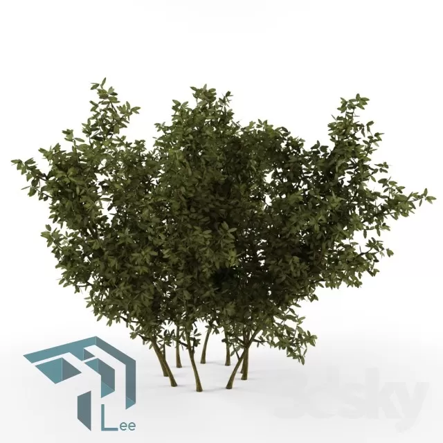 3D MODELS FREE DOWNLOAD 