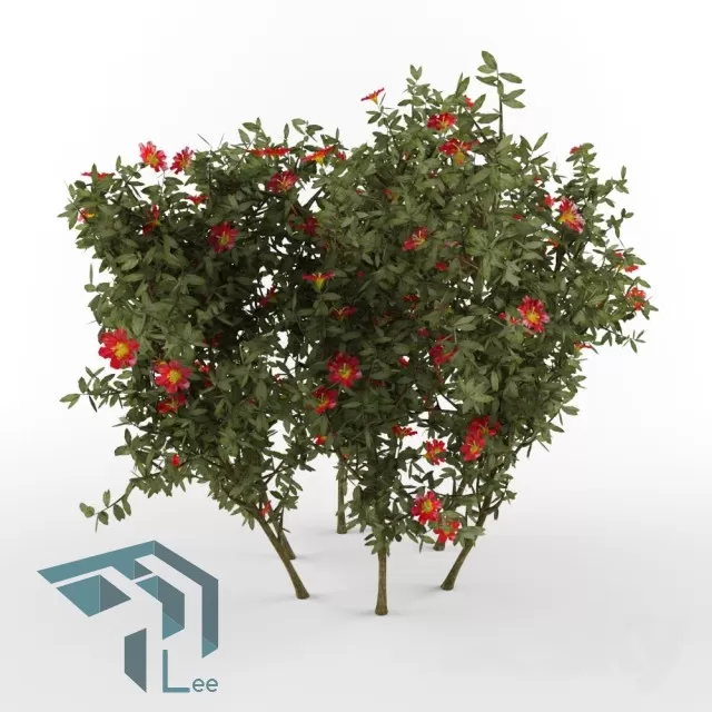 3D MODELS FREE DOWNLOAD 