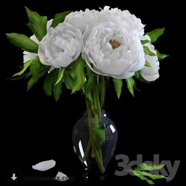 3D MODELS FREE DOWNLOAD 