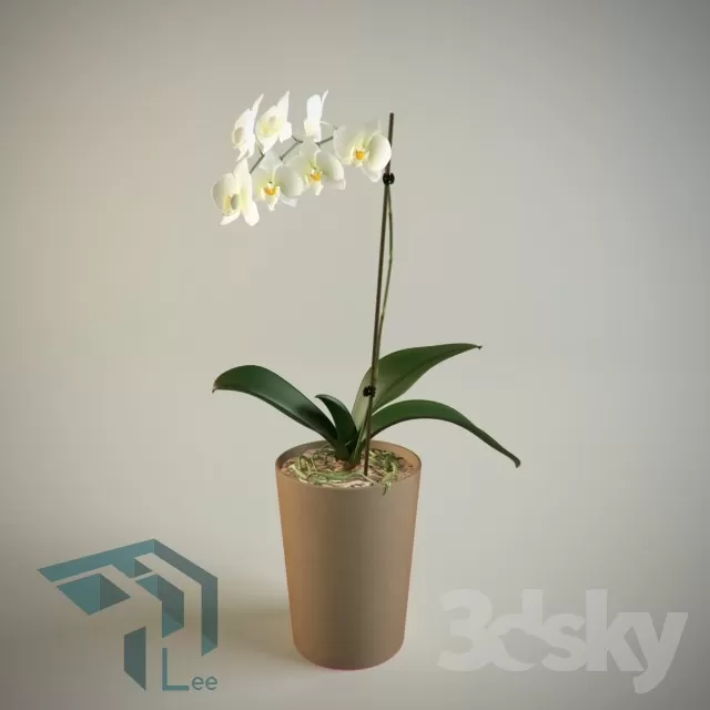 3DSKYFREE – FREE 3DS MAX MODELS