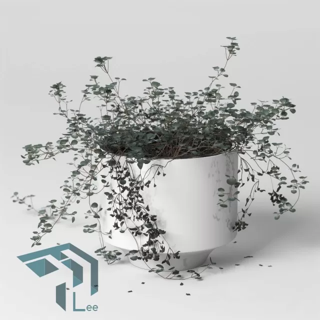 3D MODELS FREE DOWNLOAD 