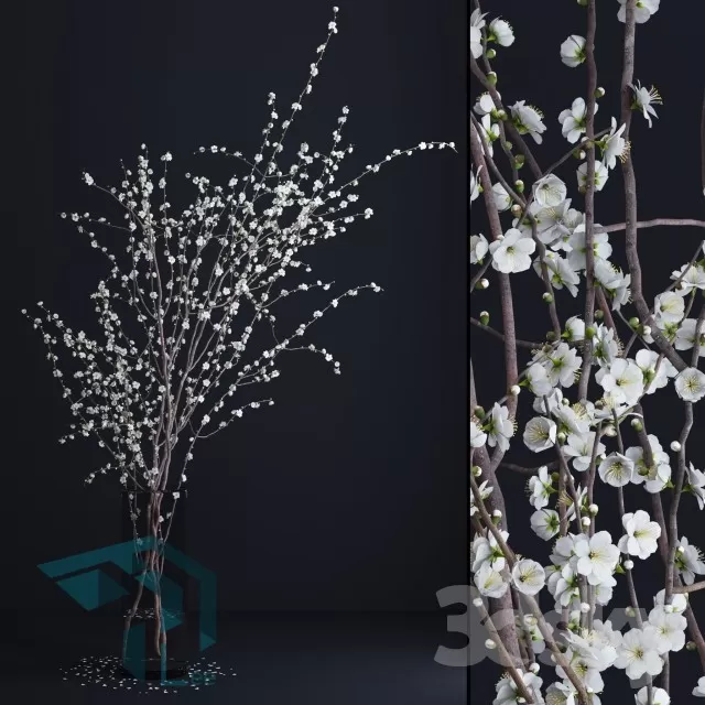 3DSKYFREE – FREE 3DS MAX MODELS