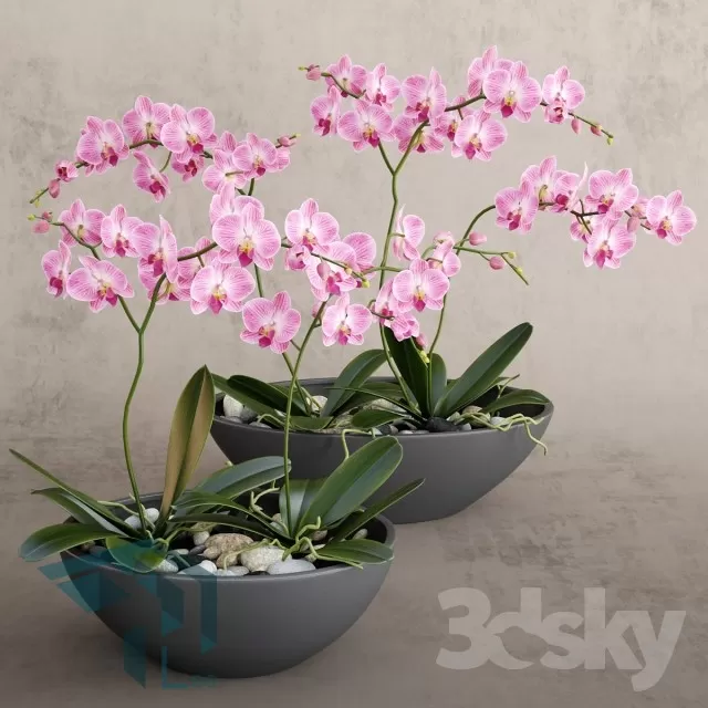 3DSKYFREE – FREE 3DS MAX MODELS