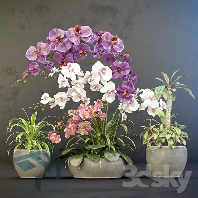 3DSKYFREE – FREE 3DS MAX MODELS