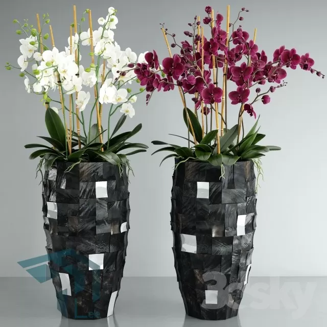 3D MODELS FREE DOWNLOAD 