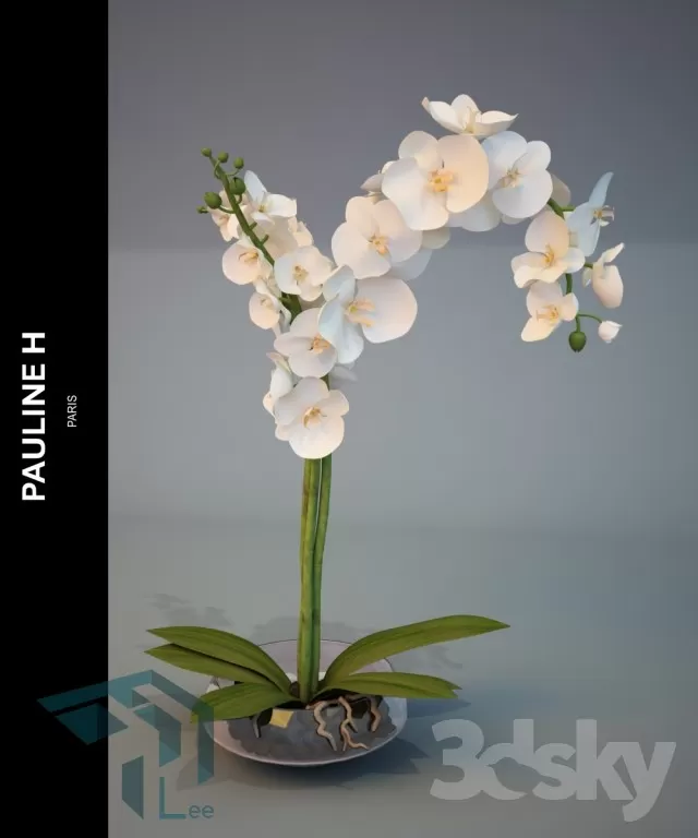 3DSKYFREE – FREE 3DS MAX MODELS