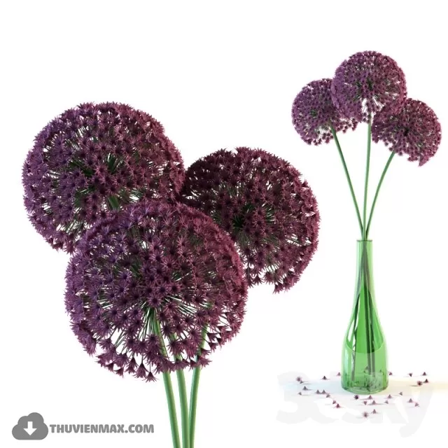 3D MODELS FREE DOWNLOAD 