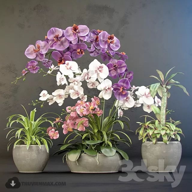 3DSKYFREE – FREE 3DS MAX MODELS