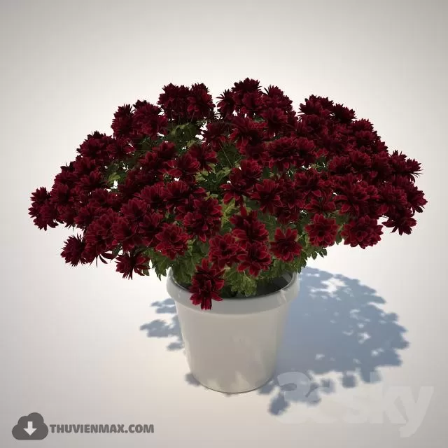 3D MODELS FREE DOWNLOAD 