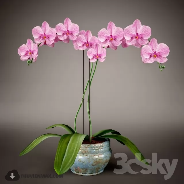 3DSKYFREE – FREE 3DS MAX MODELS