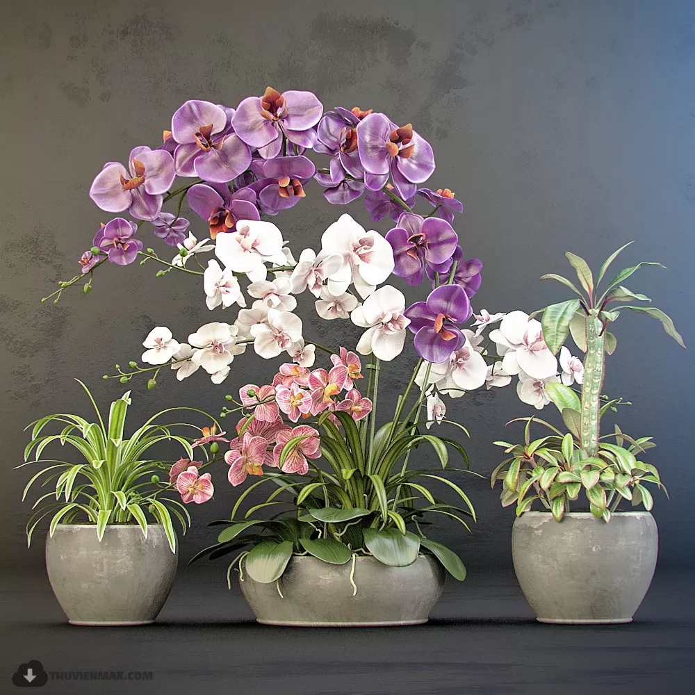 3DSKYFREE – FREE 3DS MAX MODELS