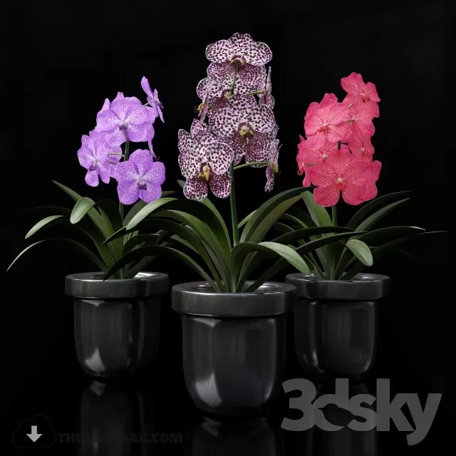 3DSKYFREE – FREE 3DS MAX MODELS