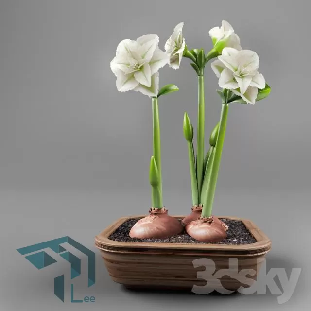 3DSKYFREE – FREE 3DS MAX MODELS