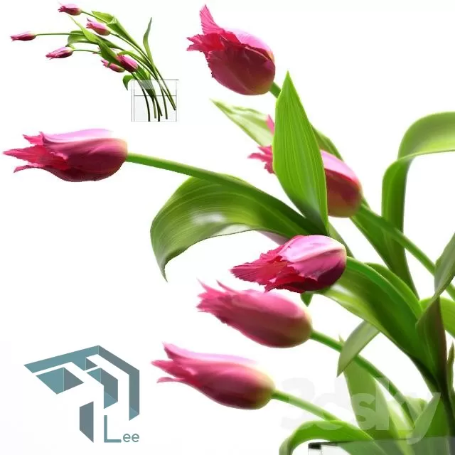 3DSKYFREE – FREE 3DS MAX MODELS