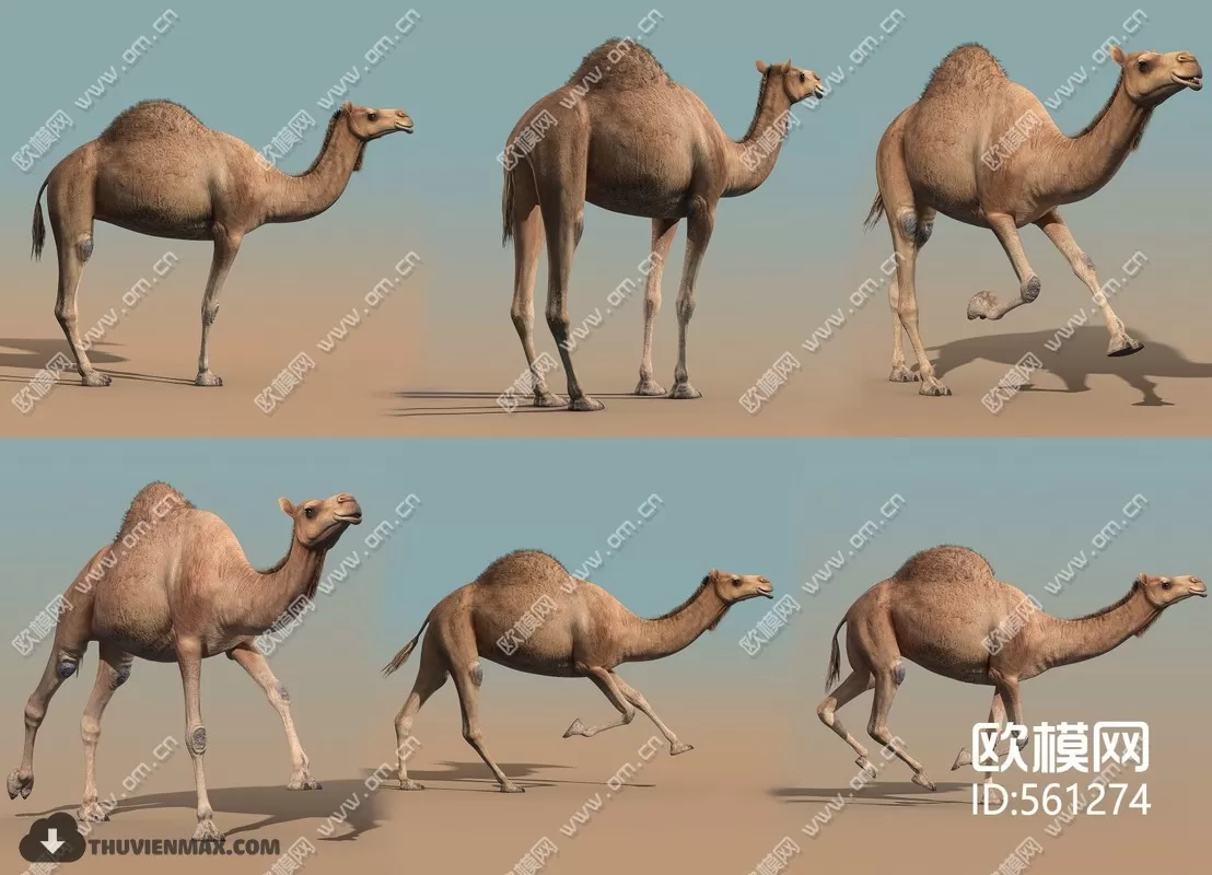 3DSKYFREE – HUMAN - PEOPLE 3DS MAX MODELS